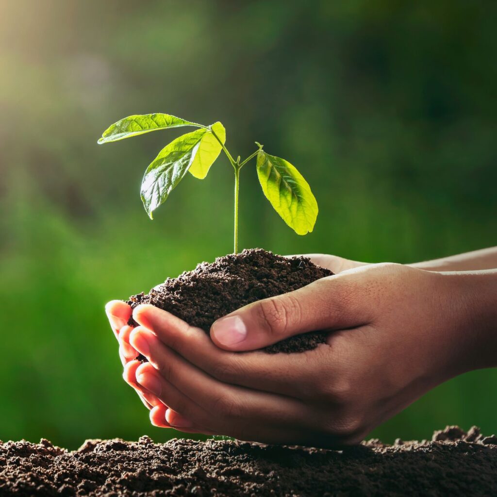 Das Symbol spiegelt das Unternehmensbewusstsein für nachhaltige und verantwortungsvolle Anlagestrategien wider.