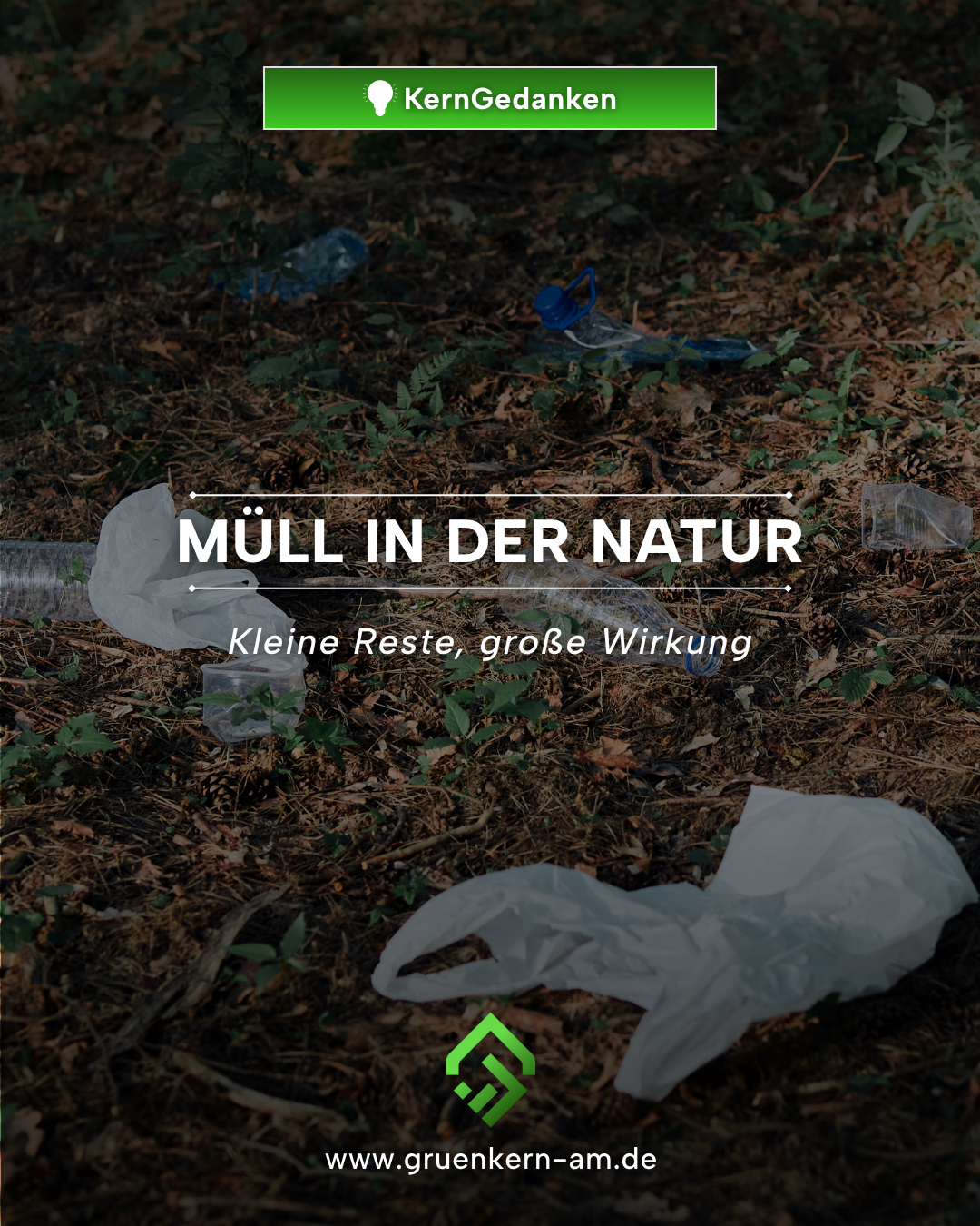 Müll in der Natur – Hand hebt Plastikflasche im Wald auf, Symbol für Umweltschutz und Verantwortung