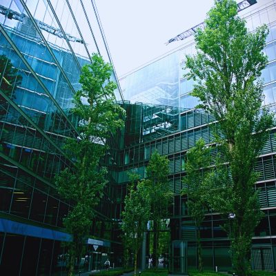 Green Asset Management für wertstabile, nachhaltige Immobilienportfolios